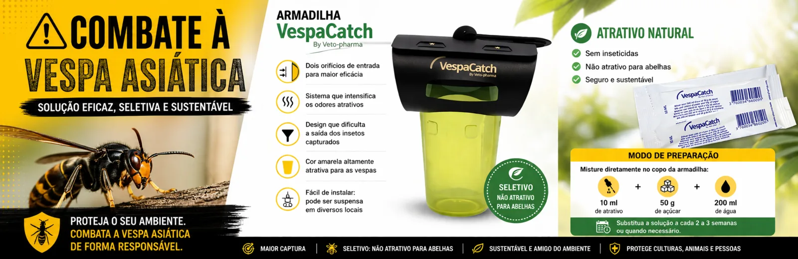 vespa asiática