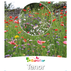 Semente de Relva Euroflor Tenor - 1 Kg