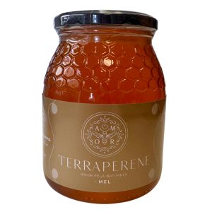 Mel Rosmaninho Terraperene - 1 Kg