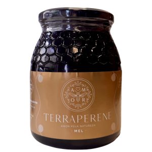 Mel Montanha/Castanheiro | Mel Terraperene - 1 Kg