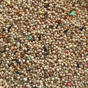 Mistura P/ Exóticos - 20kg